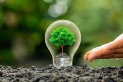 Detrazioni per Riqualificazione Energetica