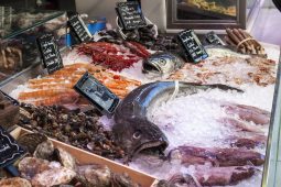 Aprire una pescheria: tutto quello che devi sapere