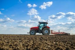 Aprire un’azienda agricola: tutto quello che devi sapere