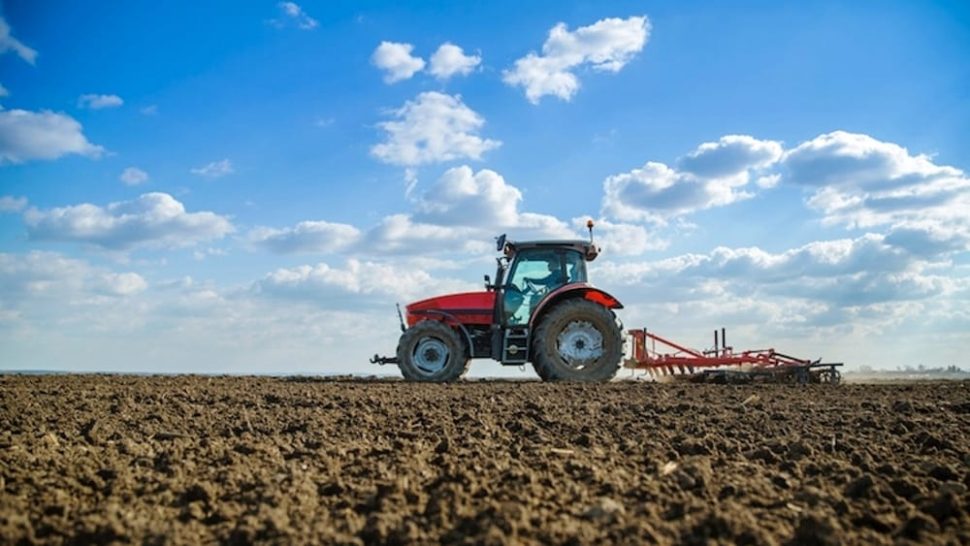 Aprire un'azienda agricola