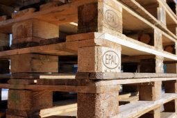 Aprire una fabbrica di pallet: tutto quello che devi sapere