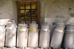 Aprire un caseificio artigianale:tutto quello che devi sapere