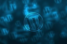Aprire un web farm: tutto quello che devi sapere