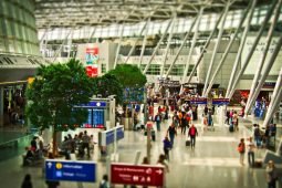 Aprire un duty free: tutto quello che devi sapere