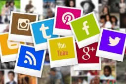Aprire partita iva come social media manager: come si fa?